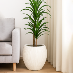 Porcelain Plant Pot Medium